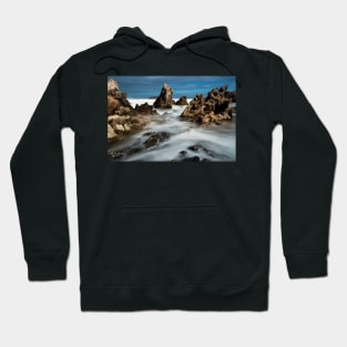 Petrel Cove Hoodie